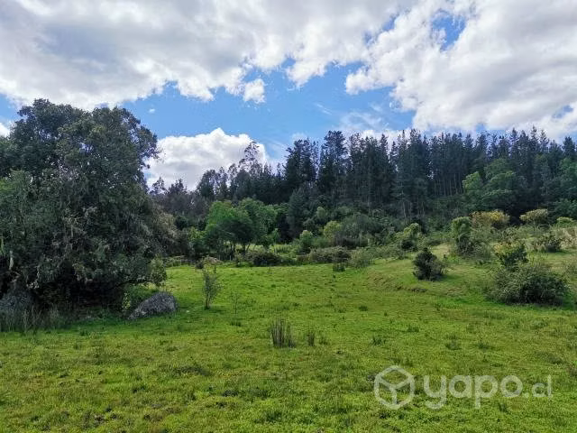 Hermosa Parcela en Florida de 1,4 ha