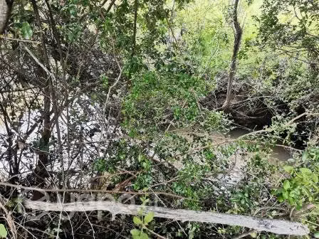 Hermosa Parcela en Florida de 1,4 ha