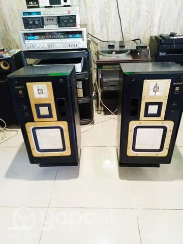 Parlantes Sony apm 66ES