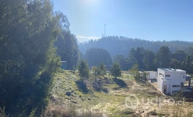 Pingueral, terreno a Pasos de la playa