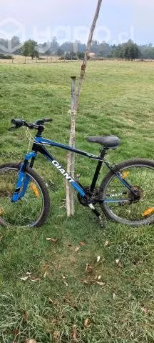 Bicicleta GIANT Revel 2 - Imagen 3