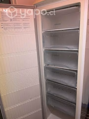 Freezer usado