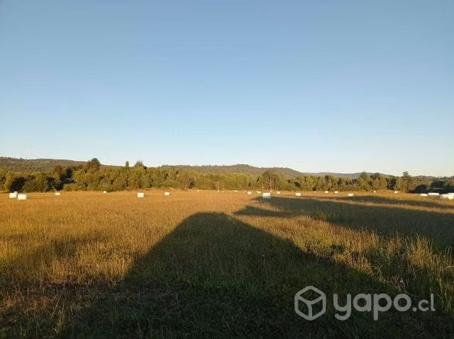 Parcelas de agrado puyehue
