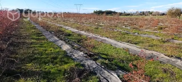 Venta de terreno de 3 hectáreas en Parral