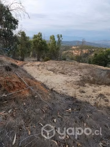 Parcela en Limache - Imagen 2