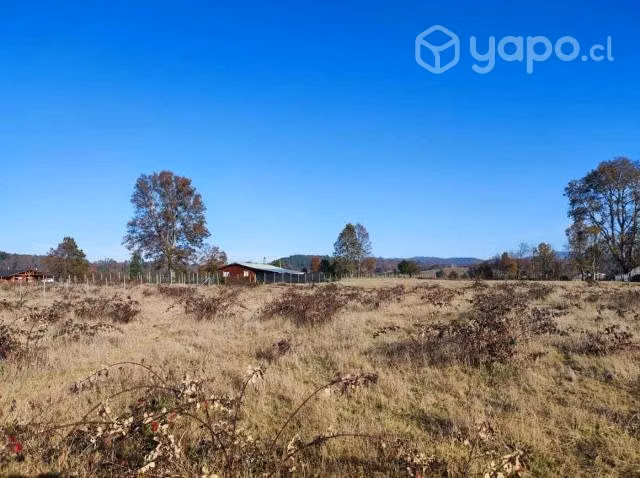 Parcelas vista volcán en Villarrica AHORA CON CREDITO DIRECTO