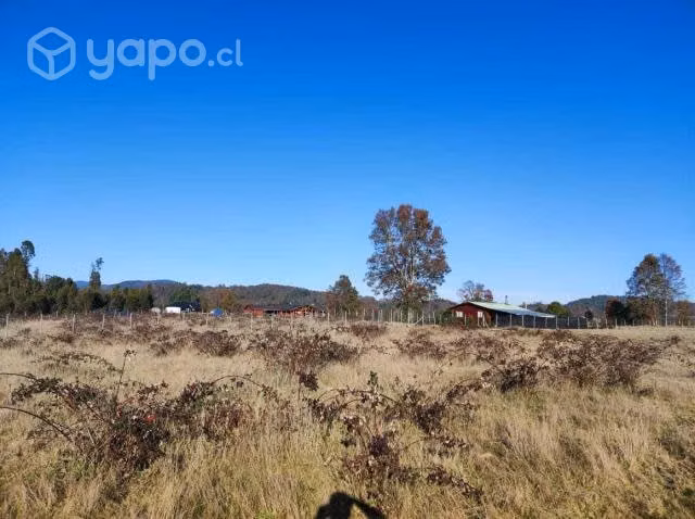 Parcelas vista volcán en Villarrica AHORA CON CREDITO DIRECTO