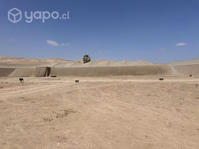 Vendo Terreno 5000 m2 Valle de Azapa