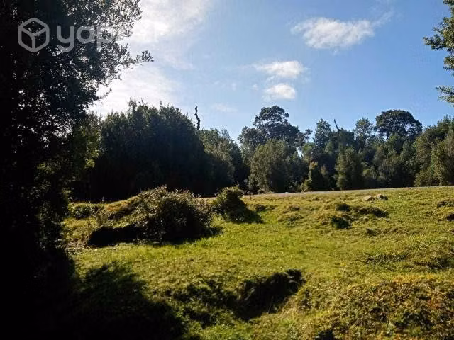 Se vende campo 19 hectáreas carretera austral - Imagen 5