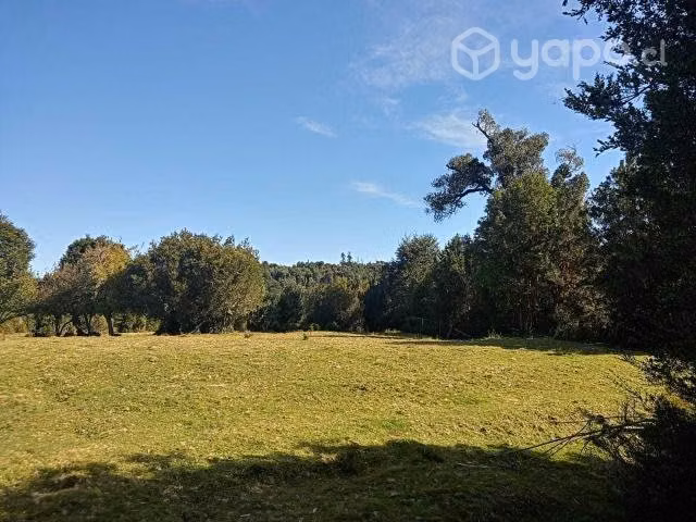 Se vende campo 19 hectáreas carretera austral - Imagen 2