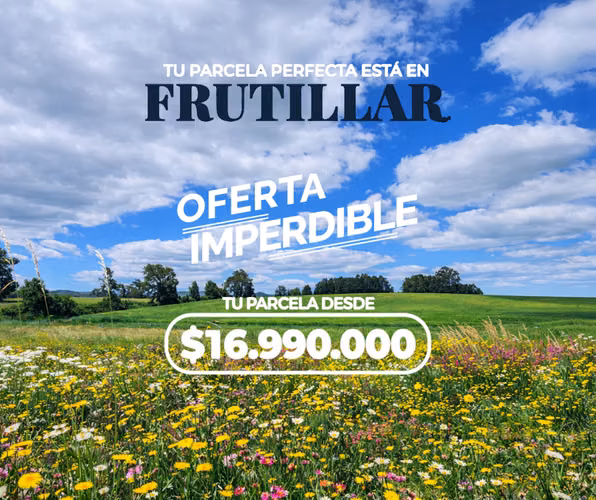 Parcelas en Frutillar ofertas y liquidación oportunidad única