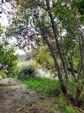 Parcela 5000m2 con 50 metros de rio chillan