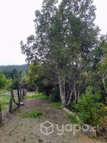 Parcela 5000m2 con 50 metros de rio chillan