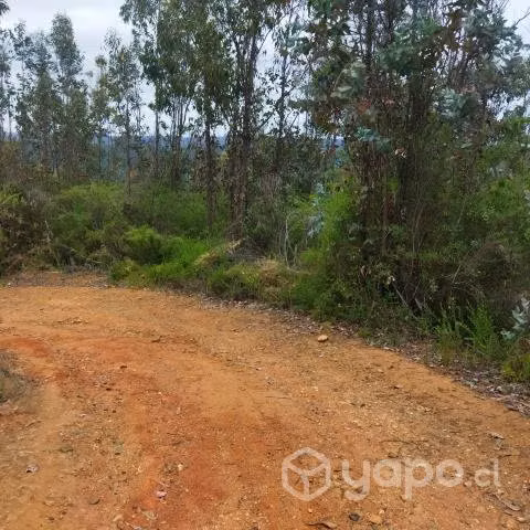 En camino La Pólvora entre las dos rotondas