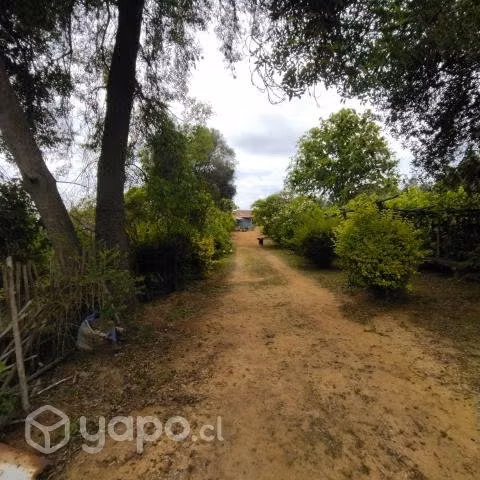 En camino La Pólvora entre las dos rotondas