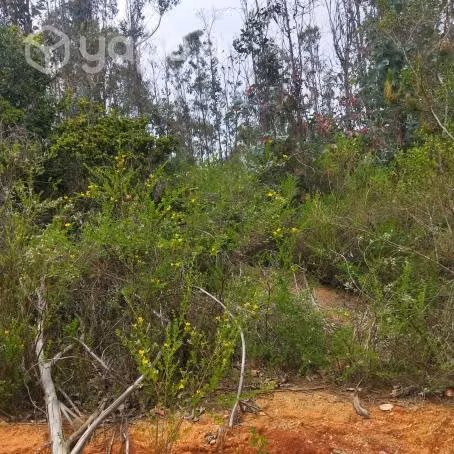 En camino La Pólvora entre las dos rotondas