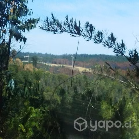 En camino La Pólvora entre las dos rotondas