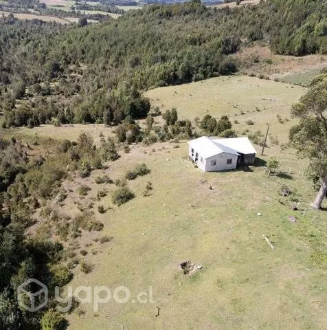 Proyecto Bosques de Estaquilla