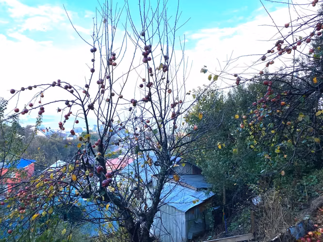Sitio 1.000 mts2 sector Barrio Chorrillos