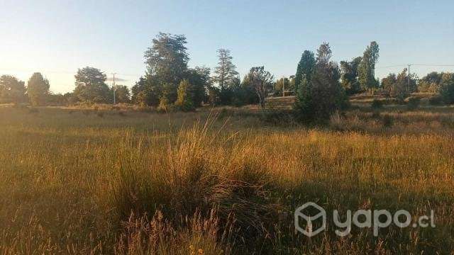 Vendo Parcela 5.000 M2 con luz - Quemchi Chiloé - Imagen 2