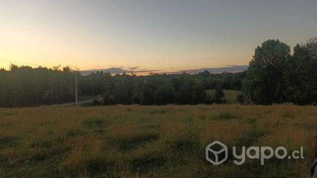 Vendo Parcela 5.000 M2 con luz - Quemchi Chiloé - Imagen 3