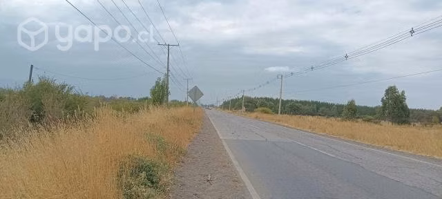 Venta de Parcela Camino Quillón-Bulnes - Imagen 2