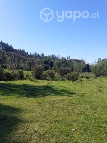 Se vende terreno en santa juana sector huellerehue