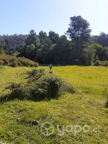 Se vende terreno en santa juana sector huellerehue