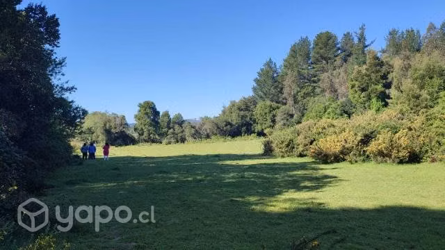 Se vende terreno en santa juana sector huellerehue