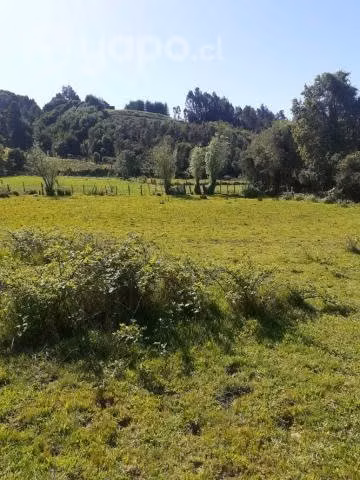Se vende terreno en santa juana sector huellerehue