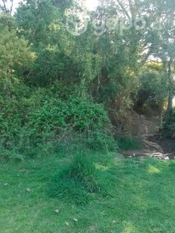 Se vende terreno en santa juana sector huellerehue