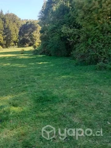 Se vende terreno en santa juana sector huellerehue