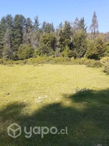 Se vende terreno en santa juana sector huellerehue