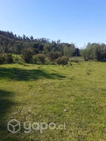 Se vende terreno en santa juana sector huellerehue