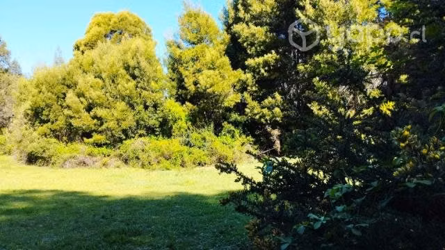 Se vende terreno en santa juana sector huellerehue