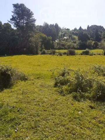 Se vende terreno en santa juana sector huellerehue