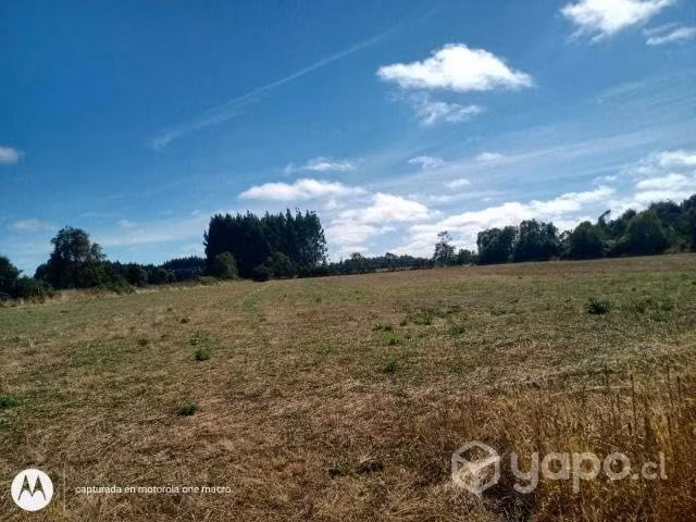 Parcela villarrica, camino pedregoso. peumayen - Imagen 4