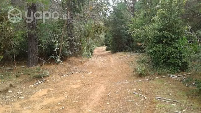 Se vende 2,7 hectareas