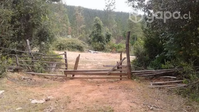 Se vende 2,7 hectareas