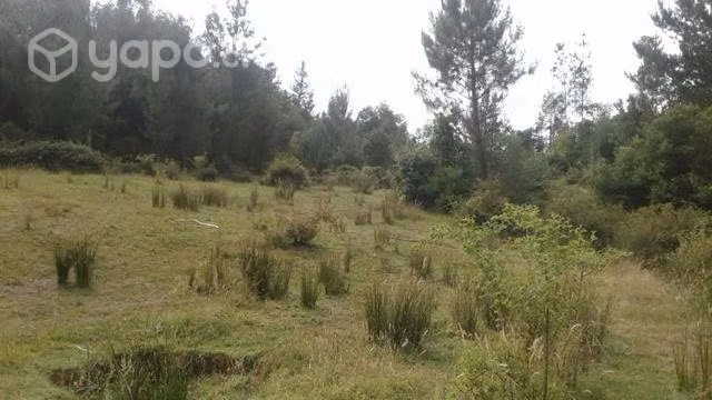 Se vende 2,7 hectareas