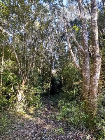 Terreno Ancud/ Cayucan/ Ruta De Los Fuertes