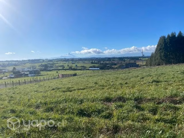 VENDO - Parcela 5.000 mts2 sector Nueva Braunau - Imagen 4