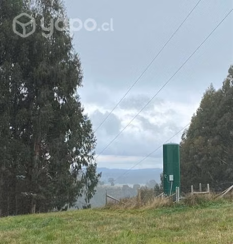 VENDO - Parcela 5.000 mts2 sector Nueva Braunau - Imagen 9