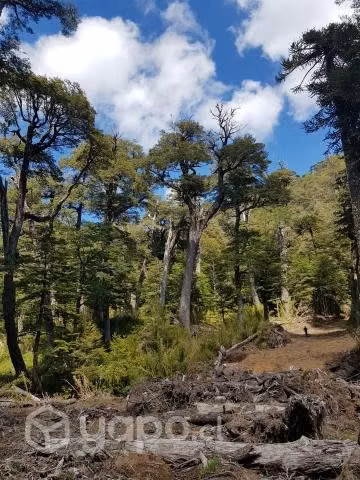 Parcelas de Agrado a 8km melipeuco 20% PIE - Imagen 4