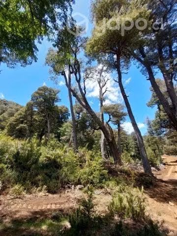 Parcelas de Agrado a 8km melipeuco 20% PIE - Imagen 2