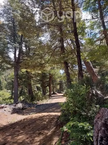 Parcelas de Agrado a 8km melipeuco 20% PIE