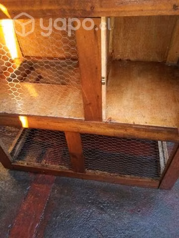 Jaula para conejo