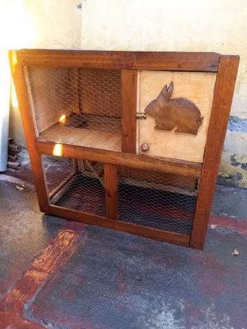 Jaula para conejo