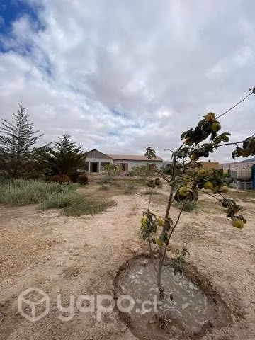 Vendo parcela de 5000m2 Copiapó - Imagen 4