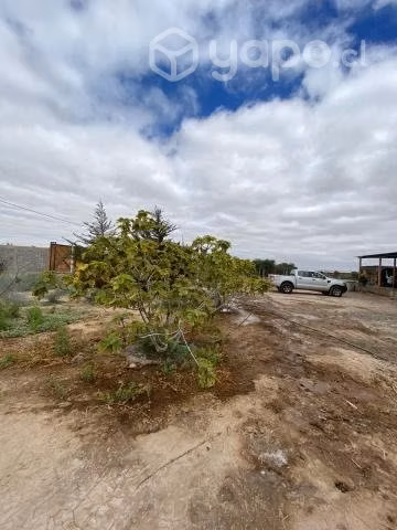 Vendo parcela de 5000m2 Copiapó - Imagen 16